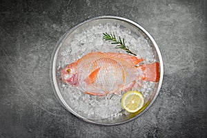 Fresh fish on ice with herbs spices rosemary and lemon / Raw fish red tilapia on black background