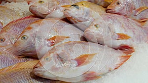 Fresh fish in ice in market