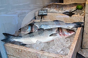 Fresh fish on ice in the market, closeup of photo.