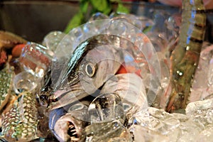 Fresh fish on ice at market, Thailand