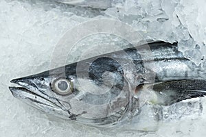 Fresh fish on ice for selling at the local market on a tropical Bali island, Indonesia.