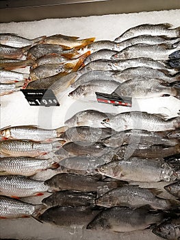 Fresh fish on ice for selling at the market.