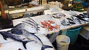 Fresh fish keep cold on ice displayed in Catania fish market