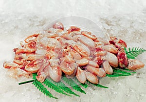 Fresh fish at La Boqueria market in Barcelona