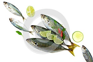 Fresh fish with lemon and leaf isolated on white background,concept cooking background