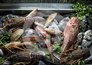 Fresh fish and lobster selections, Osteria del Porto Savelletri photo