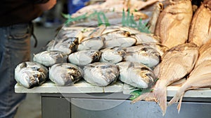 Fresh fish in the market