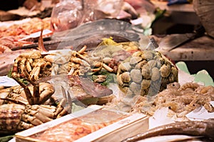 Fresh fish market pavilion