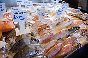 Fresh fish on market stall