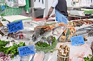 Fresh Fish Market Stall