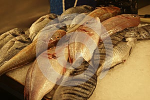 Fresh fish in the Mercado de Atarazanas