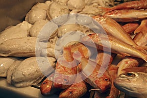 Fresh fish in the Mercado de Atarazanas