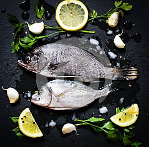 Fresh Fish Orata Over a Black stone with vegetables