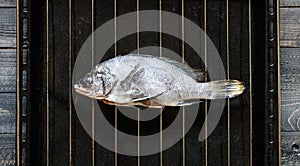 Fresh Fish Orata Over a Black stone with vegetables