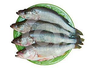 Fresh fish is perch on a plate