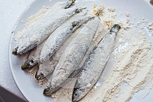 Fresh fish in a plate with flour