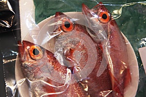 Fresh fish in red for sale