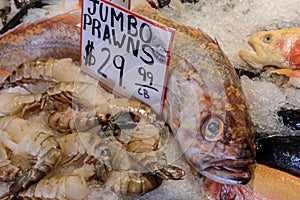 Fresh fish for sale in a farmers market. The fish is laid out in ice, and labled