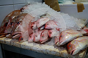 Fresh fish for sale at the market photo