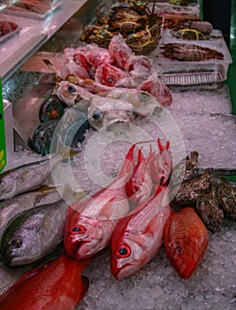 Fresh fish for sale, Naha, Okinawa, Japan