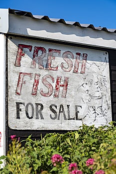 Fresh fish for sale sign on the coast