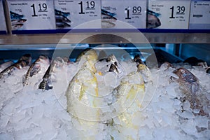 Fresh fish for sale. A variety of freshly caught fishes displayed on ice, typical in supermarket or wet market