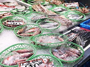 Fresh fish and seafood in fresh market in Tomari Fish Market in Japan