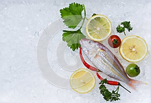 Fresh fish seafood plate with lemon parsley on ice background