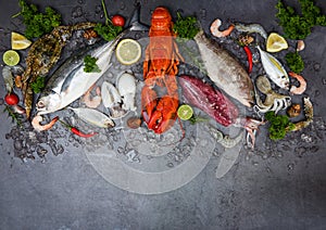 Fresh fish and seafood plate with Shellfish shrimps prawns crab shell squid octopus crab lobster and fish ocean gourmet dinner,
