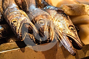 Fresh Fish and seafood in the Mercado Central, Santiago, Chile photo