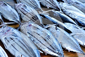 fresh fish selling on local market