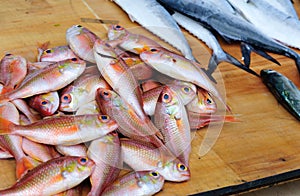 Fresh fish selling on local market