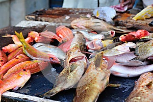 Fresh fish selling on the market