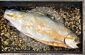 Fresh fish in smokehouse