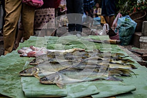 Fresh Fish Stall at the Morning Market in Luang Prabang, Laos