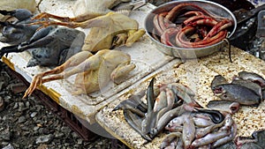 fresh fish from the street market in siem reap