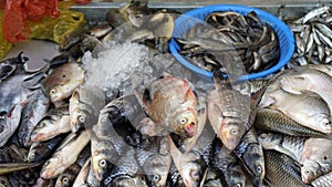 fresh fish from the street market in siem reap