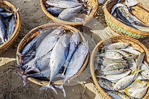 Fresh Fish and Tuna in basket on the beach