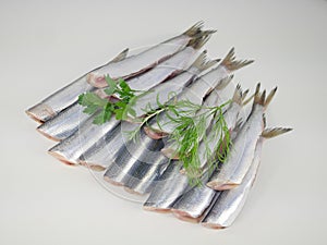 Fresh fishes herrings