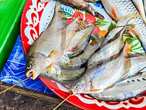 Fresh fishes in a market,Thailand