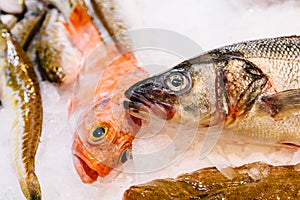 Fresh Fishes And Seafood On Ice In Market