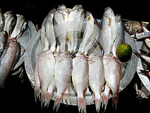 Fresh fishes for sell in fish market