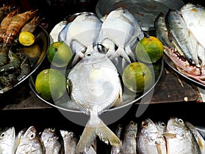 Fresh fishes for sell in fish market