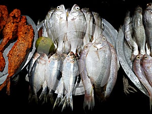 Fresh fishes for sell in fish market