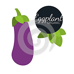 Fresh flat organic eggplant isolated