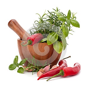 Fresh flavoring herbs and spices in wooden mortar