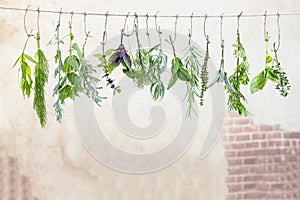 Fresh flovouring herbs and eatable flowers hanging on a string, in front of a old stonewall backgroung photo