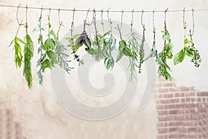 Fresh flovouring herbs and eatable flowers hanging on a string, in front of a old stonewall backgroung