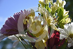 Fresh Flower Bouquet with Astromeria, Mums and Daisies photo