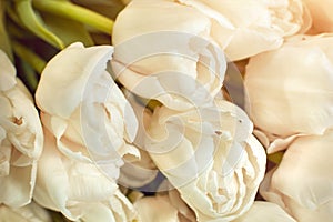 Fresh flower composition, bouquet white tulips on craft paper background. Valentine, Women`s, 8 march, birthday, mother